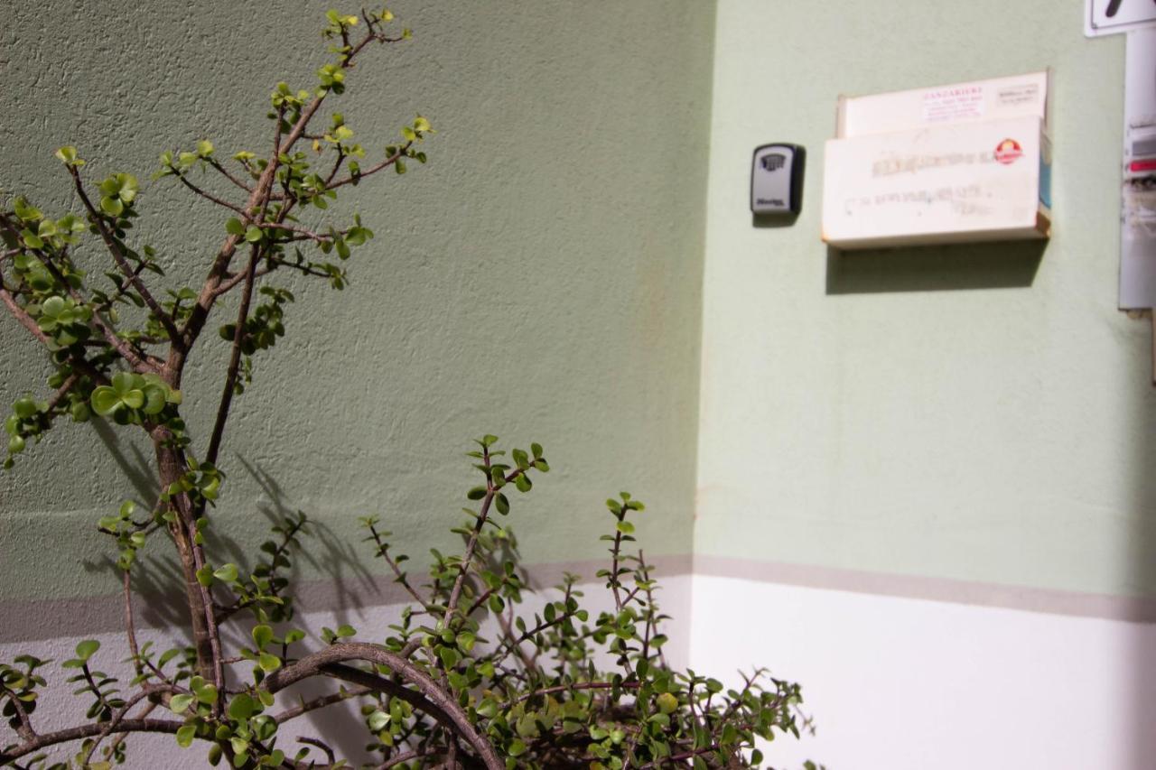 1Km Dalla Torre Appart. Con Balcone E Posto Auto 比萨 外观 照片